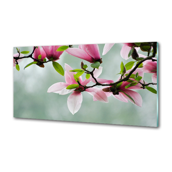 Cooker splashback Magnolia