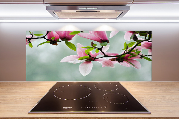 Cooker splashback Magnolia