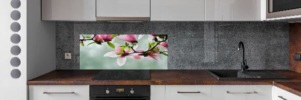 Cooker splashback Magnolia