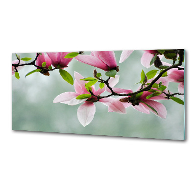 Cooker splashback Magnolia