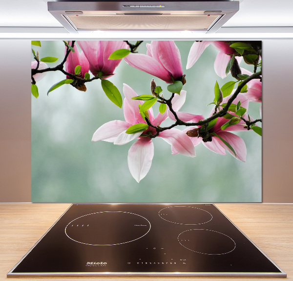 Cooker splashback Magnolia