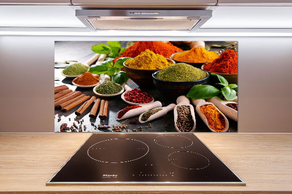 Cooker splashback Colorful spices