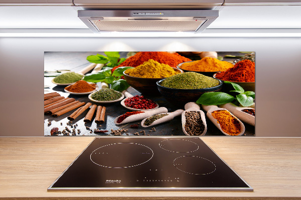 Cooker splashback Colorful spices