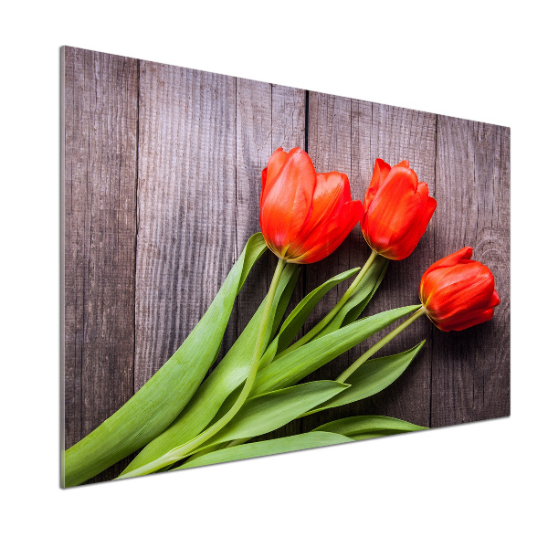 Cooker splashback Red tulips