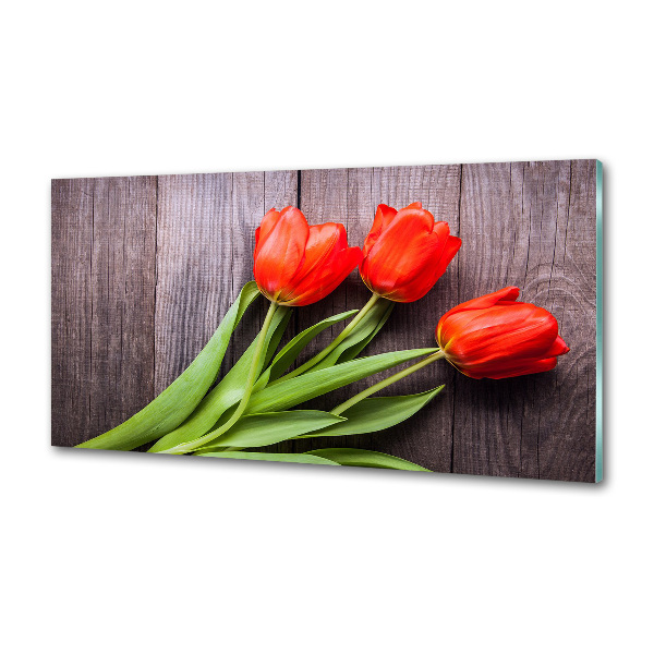 Cooker splashback Red tulips