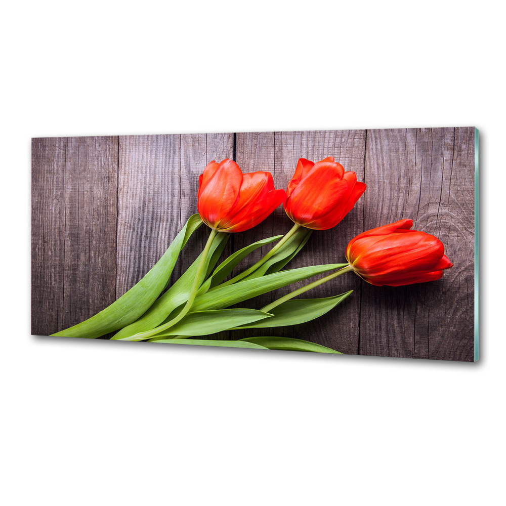 Cooker splashback Red tulips