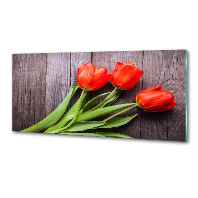 Cooker splashback Red tulips