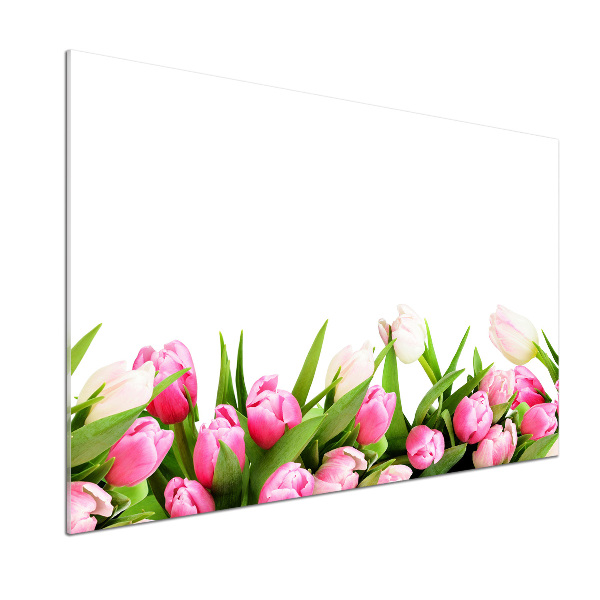 Cooker splashback Pink tulips