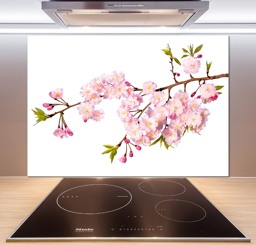 Cooker splashback Wild Rose