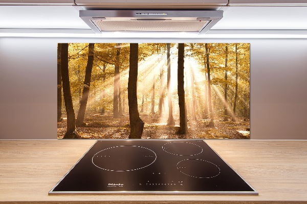 Glass splashback Forest in autumn