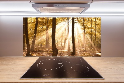 Glass splashback Forest in autumn