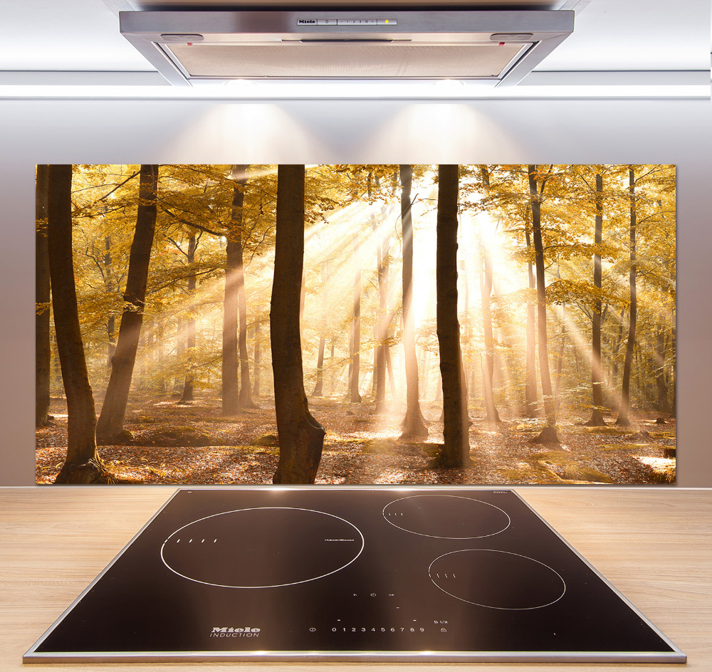 Glass splashback Forest in autumn