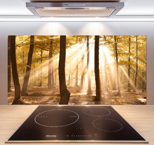 Glass splashback Forest in autumn