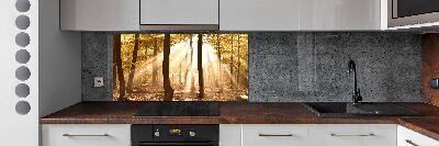 Glass splashback Forest in autumn