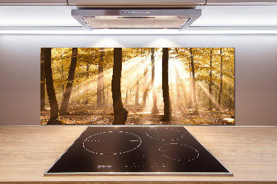 Glass splashback Forest in autumn