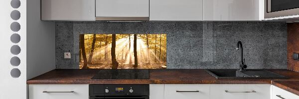 Glass splashback Forest in autumn