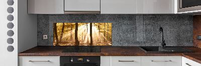 Glass splashback Forest in autumn