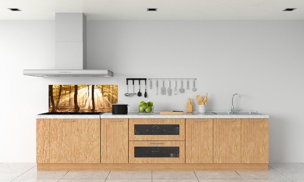 Glass splashback Forest in autumn