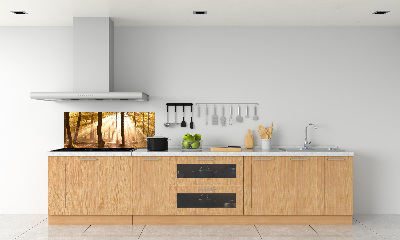 Glass splashback Forest in autumn