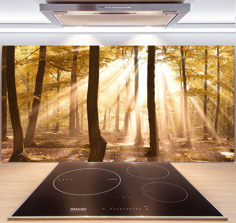 Glass splashback Forest in autumn