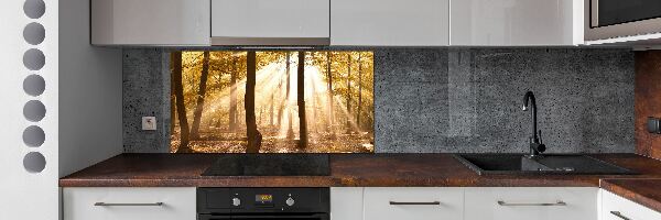 Glass splashback Forest in autumn