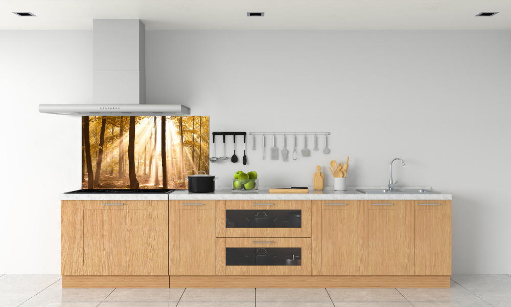 Glass splashback Forest in autumn