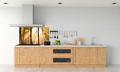 Glass splashback Forest in autumn