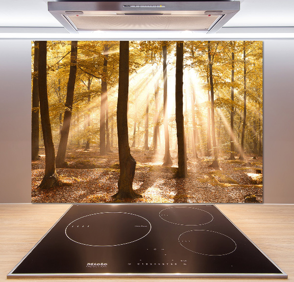 Glass splashback Forest in autumn