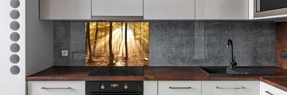 Glass splashback Forest in autumn