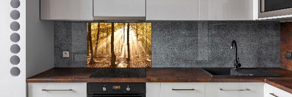 Glass splashback Forest in autumn