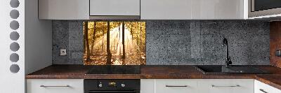 Glass splashback Forest in autumn