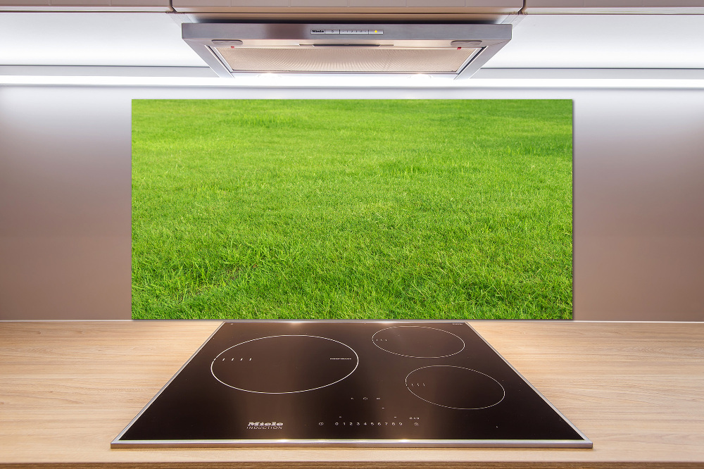 Cooker splashback green grass