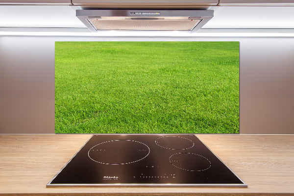 Cooker splashback green grass