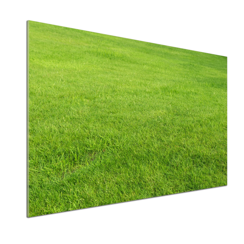 Cooker splashback green grass