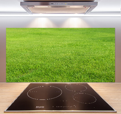 Cooker splashback green grass