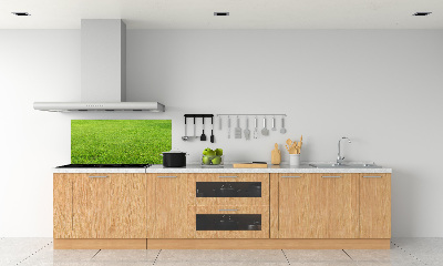 Cooker splashback green grass