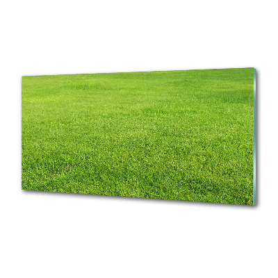 Cooker splashback green grass