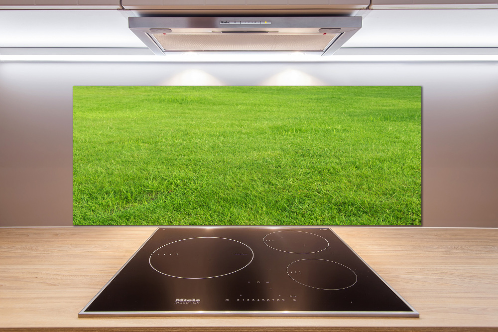 Cooker splashback green grass