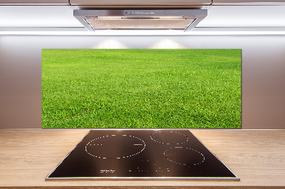 Cooker splashback green grass