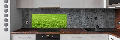 Cooker splashback green grass