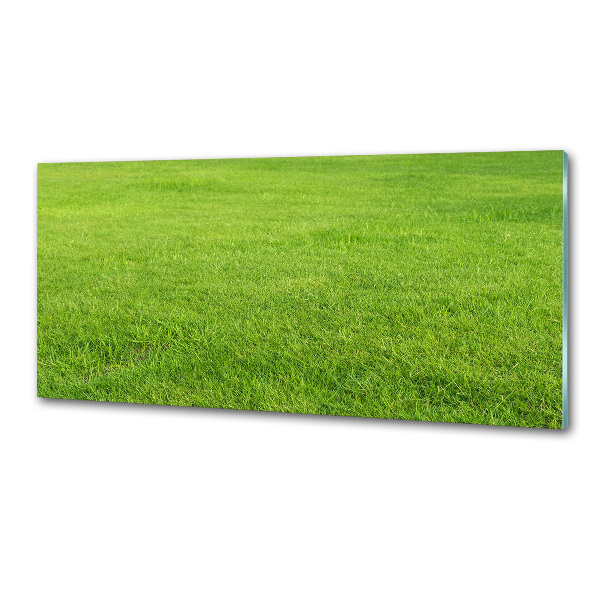 Cooker splashback green grass