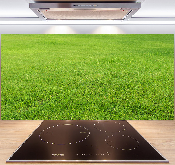 Cooker splashback green grass