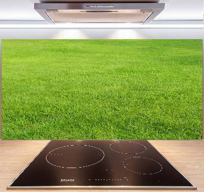 Cooker splashback green grass