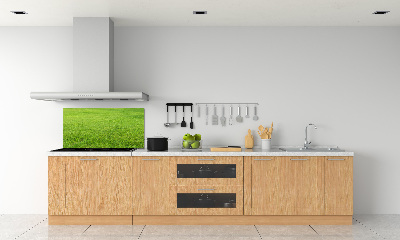 Cooker splashback green grass