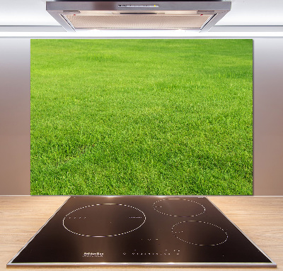 Cooker splashback green grass