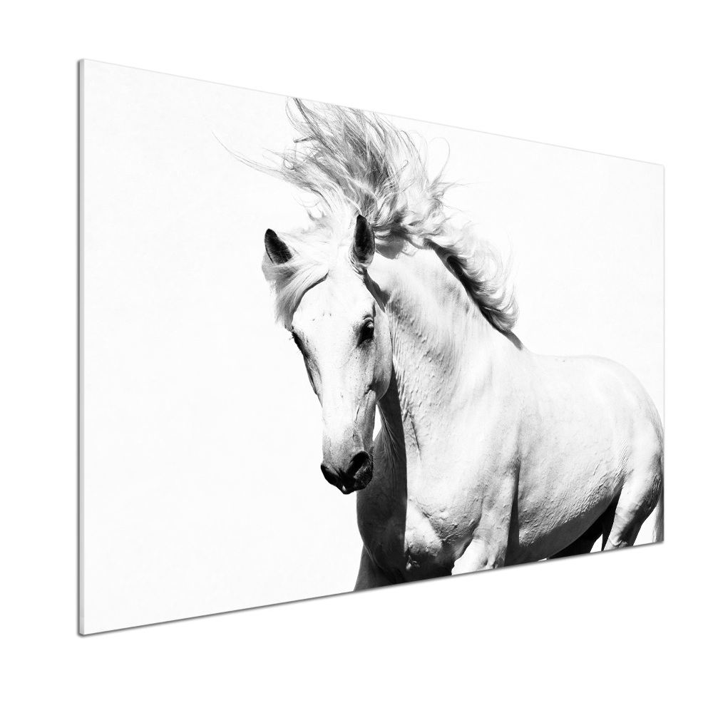 Kitchen splashback White horse