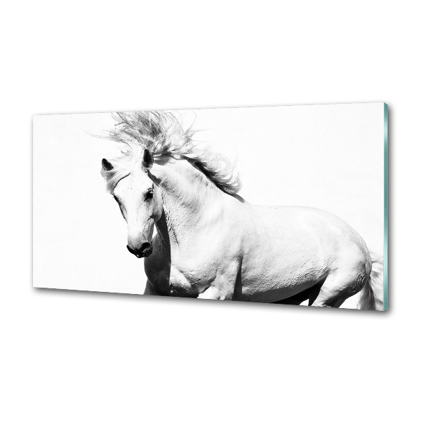 Kitchen splashback White horse