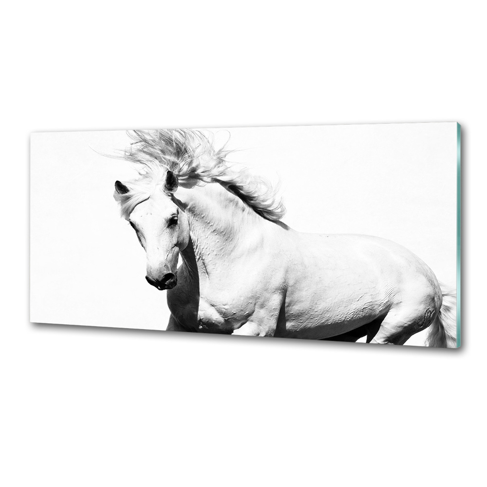 Kitchen splashback White horse