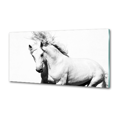 Kitchen splashback White horse