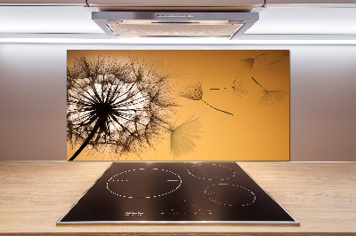 Cooker splashback Dandelion